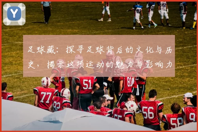 足球藏：探寻足球背后的文化与历史，揭示这项运动的魅力与影响力