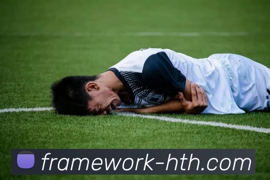 华体会网页版平台生态图